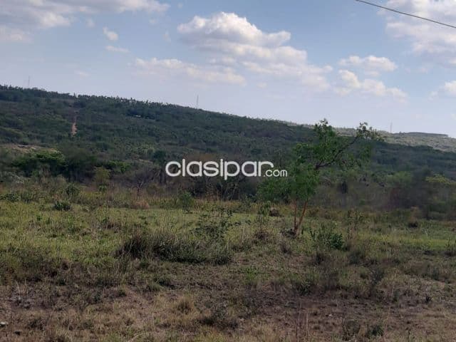 propiedad de 145ha con arroyo zona Pinamar