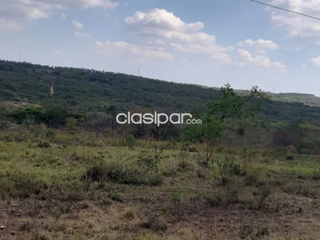 propiedad de 145ha con arroyo zona Pinamar — foto 2