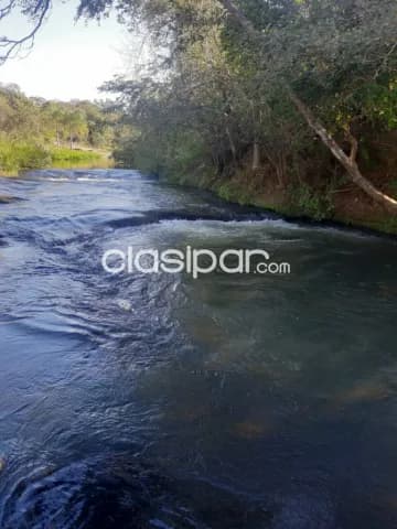 propiedad de 145ha con arroyo zona Pinamar — foto 3