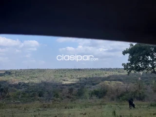propiedad de 145ha con arroyo zona Pinamar — foto 4