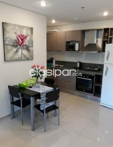 Departamento amoblado en Asuncion - Villa Morra