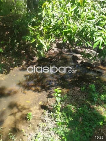 Casa quinta de 2 ha.con arroyo en N. Colombi, foto 5
