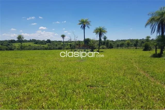 93 hectáreas en San Pedro del Paraná! 1,890,000,000 ₲, foto 3
