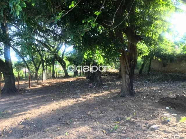 Terreno en Ypacarai sobre Ruta 2, foto 2