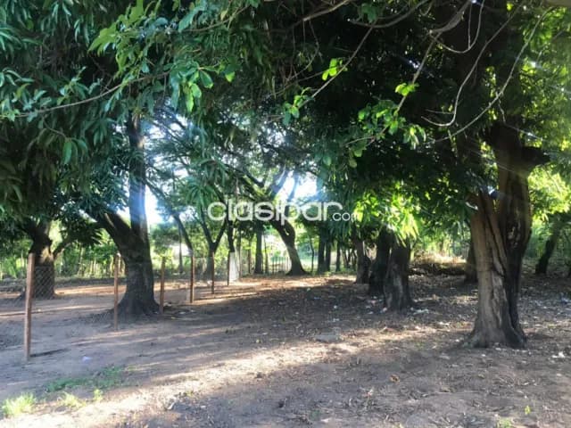 Terreno en Ypacarai sobre Ruta 2, foto 4