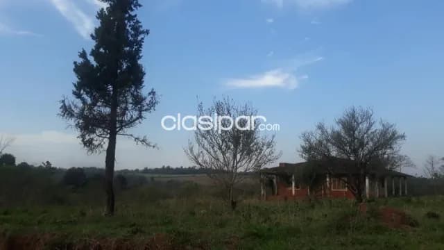 Minga guazú - alto paraná (s/ ruta cedrales): Propiedad en oferta, ubicación privilegiada, foto 3