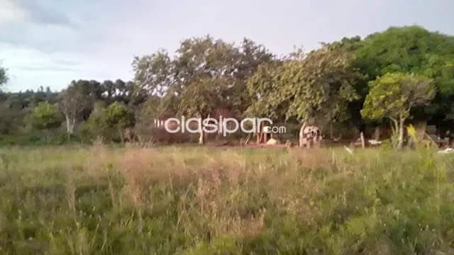 Minga guazú - alto paraná (s/ ruta cedrales): Propiedad en oferta, ubicación privilegiada, foto 4