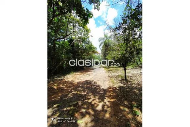 Propiedad en Altos con granja porcina 695,000 USD, foto 3