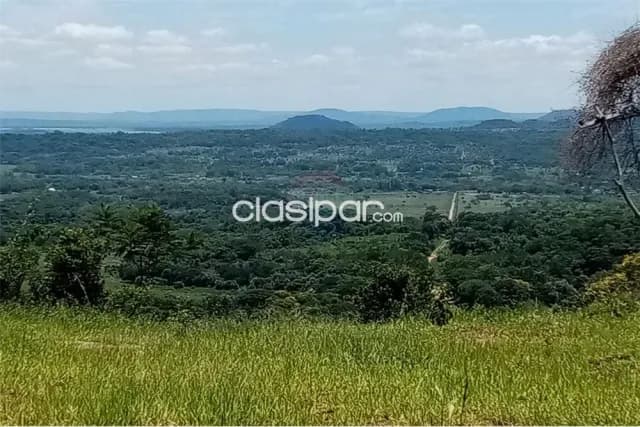 17 hectáreas en dpto. De paraguarí 501,500,000 ₲ — foto 2