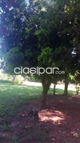 Remato terreno en Luque!!!, foto 3