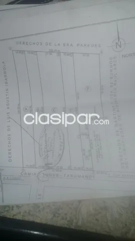 Luque – san bernadino: Maravillosos 8.000m2 ideales p/ emprendimientos inmobiliarios, foto 2