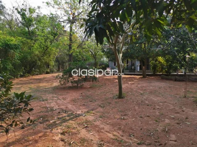 Acceso sur – guarambare: 2.300m2, en esquina, s/ ruta, ideal p/ grandes emprendimientos — foto 3