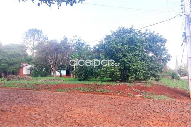 terreno en Obligado centro: superficie de terreno 2500 m2, foto 3
