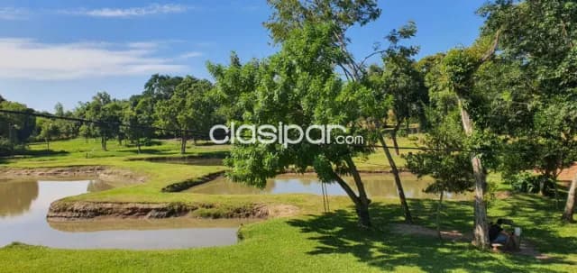 40.000 metros cuadrados de Pura Naturaleza. Itá central Paraguay Sobre Ruta. Vendo.!!! — foto 5