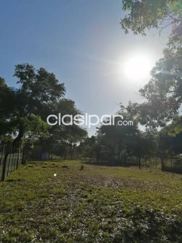 Terreno en limpio, foto 4