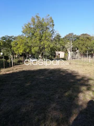 Terreno en limpio, foto 5