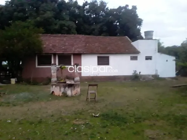 Gral. Aquino – san pedro: 43 has – establecimiento totalmente formado, 35.000.000 gs/ha — foto 3