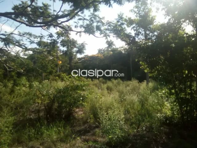Oferta de 5 ha.con vista al lago — foto 2