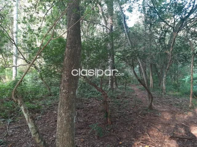 Oferta de 5 ha.con vista al lago — foto 3