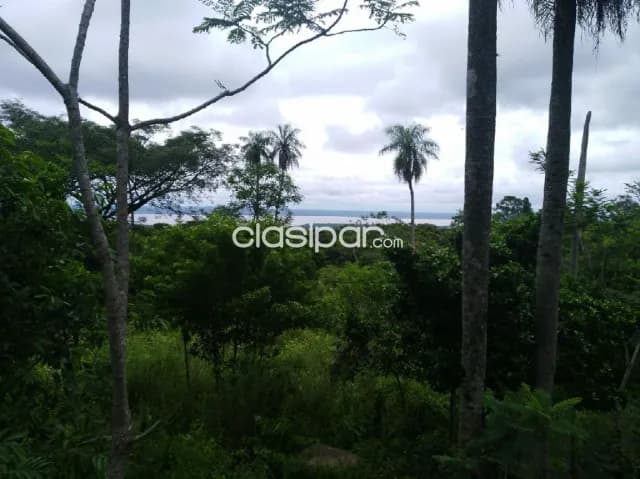 Oferta de 5 ha.con vista al lago — foto 4