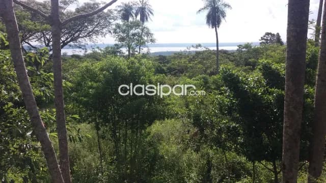 Oferta de 5 ha.con vista al lago — foto 5