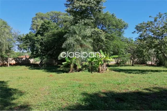 Amplio terreno de 2263m² sobre ruta. 1,450,000,000 ₲ — foto 2