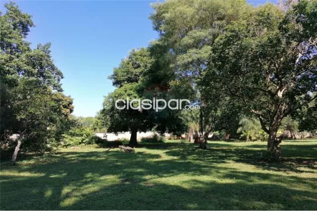 Amplio terreno de 2263m² sobre ruta. 1,450,000,000 ₲ — foto 3