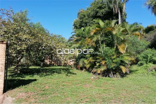 Amplio terreno de 2263m² sobre ruta. 1,450,000,000 ₲ — foto 4