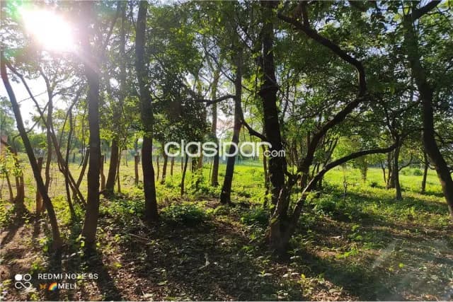 de casi media hectárea, Luque-Areguá — foto 4