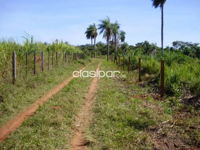 Acahay Ybycui 13 Hectareas Agroganaderas 15000000 Gs Ha — foto 4