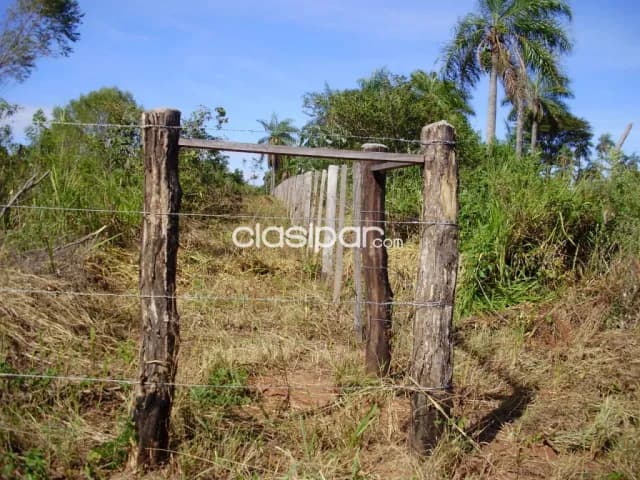 Acahay Ybycui 13 Hectareas Agroganaderas 15000000 Gs Ha — foto 5
