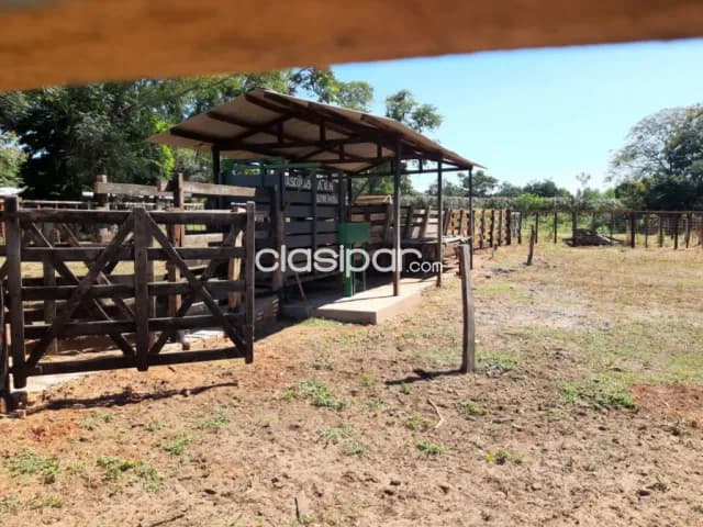 Piribebuy: Exuberante vegetación: Agrícola forestal — foto 4