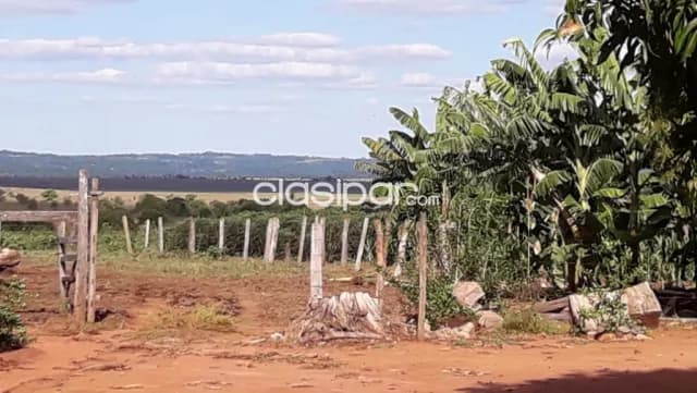 Ybycui Paraguari Opcion Ideal Agroganadera Forestal 100 25000000 Gs Ha — foto 3