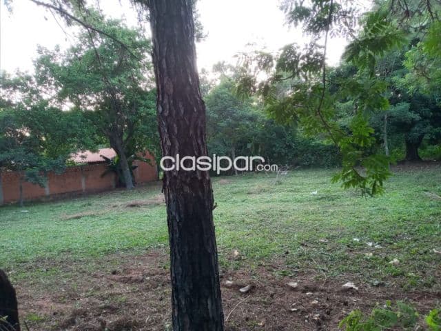 OFERTA terreno de 362 metros cuadrados en isla bogado Luque 13*26. A30 metros del asfalto