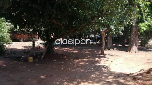 Terreno en San Lorenzo barrio san luis cod 3540 — foto 3