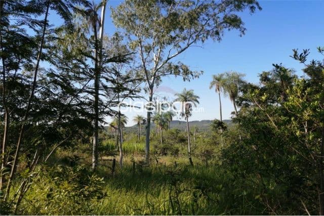6 has 7880 a 6 km de la Basilica de Caacupè 430,000,000 ₲ — foto 1