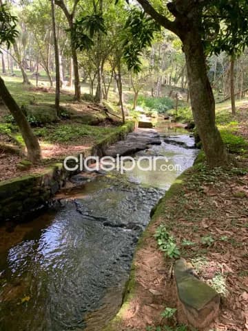 Hermosa propiedad con arroyo de 67 has en escobar, foto 3
