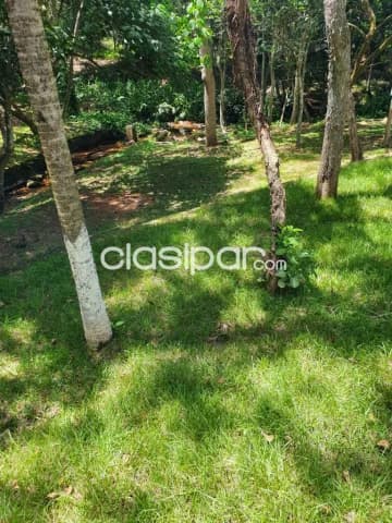 Hermosa propiedad con arroyo de 67 has en escobar, foto 4