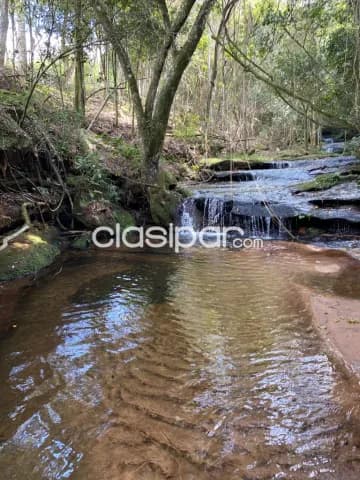 Hermosa propiedad con arroyo de 67 has en escobar, foto 5