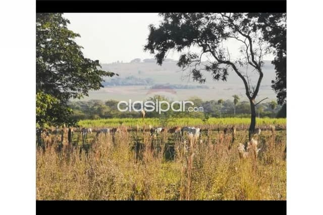 Ybycui Paraguari Maravillosas 13 Has Pasturas Bosques Prox La Rosada 695000000Gs, foto 3