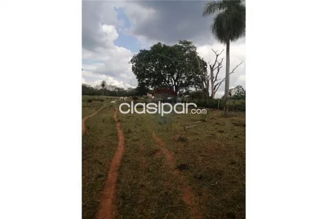 Ybycui Paraguari Maravillosas 13 Has Pasturas Bosques Prox La Rosada 695000000Gs, foto 4
