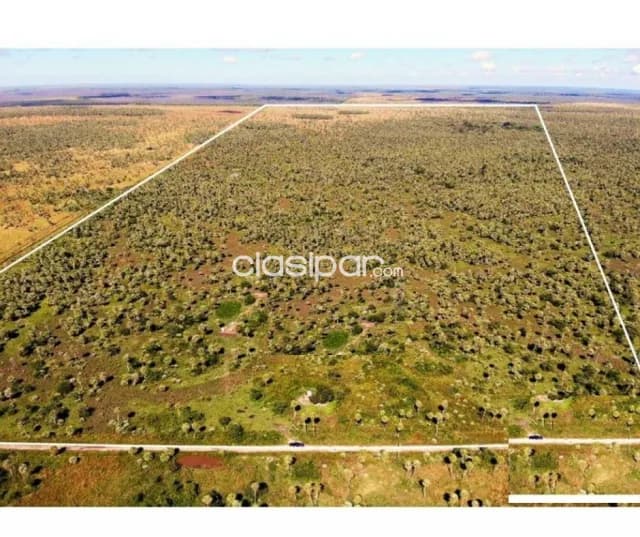 165 has en villa oliva 2,200,000,000 ₲, foto 2