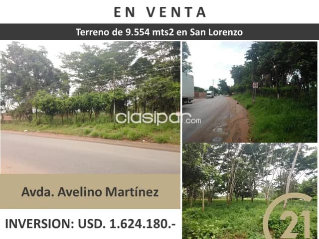 En Venta importante terreno de 9.554 mts2 en San Lorenzo!! sobre Avelino Martinez, foto 4