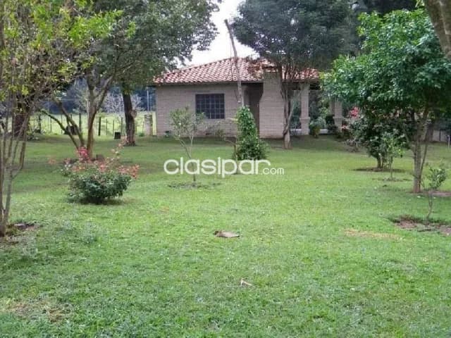 65ha.en Isla Pucú, foto 3