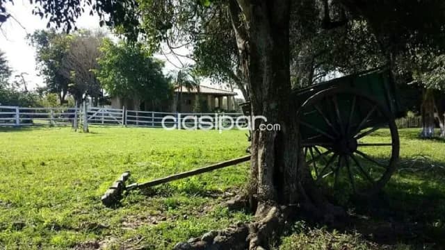 65ha.en Isla Pucú, foto 5