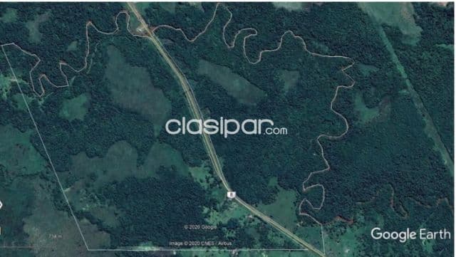 Coronel oviedo – caaguazú: 100 has disponibles p/ transferencia y venta - 56.000.000 gs/ha