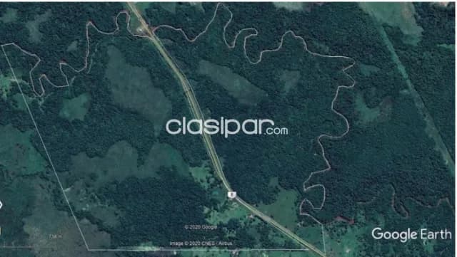 Coronel oviedo – caaguazú: 100 has disponibles p/ transferencia y venta - 56.000.000 gs/ha — foto 2