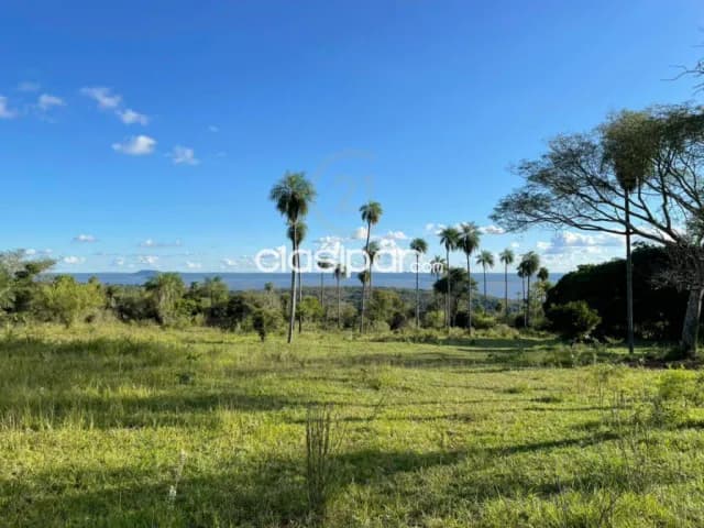 Terreno en el Distrito de Ciervo Cuá, foto 3