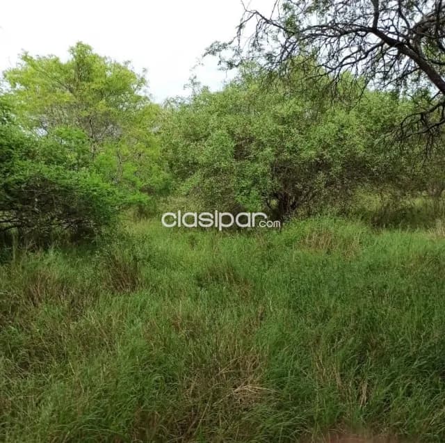 Propiedad Rural en Presidente Hayes, Distrito de Tte. Esteban Martinez, foto 5