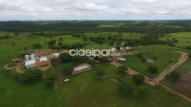 283 hectáreas. Tipo.: Ganadera. Inmejorable Propiedad en Kanindeyu. Curuguaty. Vendo.!!! — foto 4
